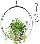 Indoor Plant Hanger with Wooden Base, Modern Plant Hanging Shelf with Plant Label and Hook for Wall, Window & Home Room Decor (Pot & Plant Not Included)