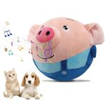 B. Toys Pet Toys