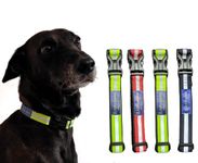 Rishvaana Reflective Collars for Stray Dogs | Assorted Colours | Durable & Sturdy | Lightweight, high Visibility at Night for Street Dogs | Easy tp Put on and Focused on Stray Dogs (Pack of 4)