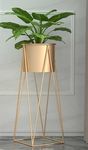 CHROMIX® Modern Metal Floor Flower Stands For Living Room Bedroom Display Plant Stand Tall Indoor Plant stand (Gold)