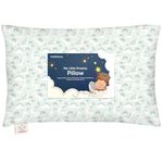 Toddler Pillow with Pillowcase - My Little Dreamy Pillow - Organic Cotton Toddler Pillows for Sleeping, Kids Pillow, Travel Pillows for Sleeping, Mini Pillow, Toddler Bed Pillows (DinoBloom)