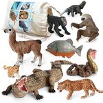 Volnau Jungle Animal Figurines Toys 9PCS South America Figures for toddlers Kids Christmas Decoration Gift Preschool Educational Zoo Pack Rainforest Safari Forest Set