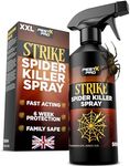 Pest-X Pro Strike Spider Killer Spr