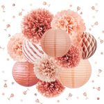 NICROLANDEE Rose Gold Party Decorations -12PCS Elegant Party Supplies Tissue Pom Poms Paper Lantern Glitter Confetti 30G for Wedding Bridal Shower Baby Shower Bachelorette Birthday Valentine Day Party Decor