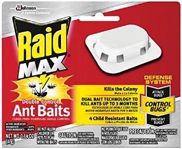 Raid Ant B