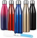 Sfee Insulated Water Bottle, 17 oz 