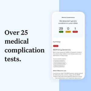 Wisdom Panel Dog DNA Test – Breed & Health Screening Kit