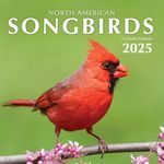 Songbirds 2025 Hangable Wall Calendar Monthly Beautiful Wildlife Bird Photo Gift Forest Birds Nature Photography Office Him Her Birding Birder Gifts (2025 Songbirds)