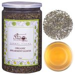 The Indian Chai - Organic Spearmint Tea 100gram For Pcod & Pcos, Helps In Hormonal Imbalance & Facial Hair & Acne, Superherb, Caffeine Free Herbal Tea, Loose Leaves