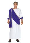 RG Costumes 80094-V Men's Caesar The, White/Purple, One Size Greek/Roman Adult Costumes