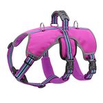 Didog Escape Proof Dogs Harness,Soft Breathable Padded & Reflective,Adjustable No Pull Dog Harness with Lift Handle & Double Leash Clips for Medium Large Dogs Walking Hiking Training,Purple,S