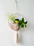 Zippy Flora Daisy Handmade Macrame Ring for Decor (8 inch Diamterer, Off-White)