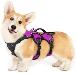 rabbitgoo Escape-Proof Dog Harness Small Dog with Handle, Anti-Pull Reflective Working Service Dog Harness, Breathable Pets Vest Puppy, Adjustable Lift Support Body Harness Outdoor, S, Purple