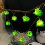 Frog Fairy Lights 1.65m Length 10 LEDs Green Frog String Lights Warm White Battery Operated Bedroom Children Room Decor Chain of Lights (Green Frog)