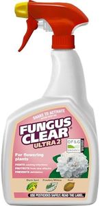 FungusClea
