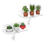 Hexsonhoma Clear Acrylic Windows Plant Shelves, 12 Inch Window Plant Stand with Legs, No Need Drilling Indoor Windows Suction Cup Shelf Wall Shelf for Plants, Home Décor, Toiletries(2 Pack)