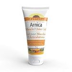 Holista Arnica Muscle & Joint Gel, 75 g, Helps relieve Minor Pain and Inflammation, Non Greasy and Fragrance Free