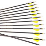 12pc 28-Inch Spine-400 Arrow Removable Tips Targeting Hunting Arrow Plastic Fletching 2 Inch Vane Carbon Arrows for Compound Bow Recurve Bow Adult Youth Archery Yellow White