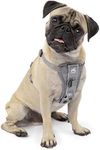 Kurgo Tru-Fit Smart Harness, Dog Harness, Pet Walking Harness, Quick Release Buckles, Front D-Ring for No Pull Training, Includes Dog Seat Belt Tether (Grey, Small)