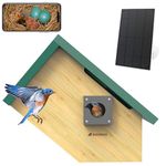 Birdkiss Smart Bird House with Camera: Wireless Bird Camera with Solar Panel - Motion Activated & Auto Capture HD Bird Video - Green