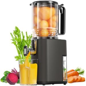 Cold Press Juicer, 5.5inch Wide Feed Chute Juicer Machine, Slow Masticating Juicer for Whole Vegetables & Fruits, Gray