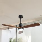 Spector 52'' Wood Ceiling Fan DC Mo