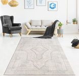 LaDole Rugs 3x10 Living Room Runner Premium Area Rug | Traditional Home Decor Modern Carpet for Hallway, Entrance, Balcony |Beige Turquoise