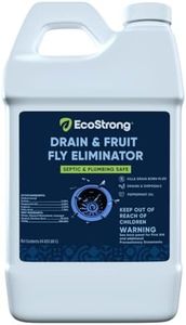 Fruit Fly