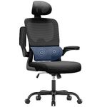 naspaluro Office Chair Ergonomic for Desk with Adaptive Lumbar Support/Headrest/Flip-up Armrests Swivel Computer Chair with Rocking Function Executive Manager Chair For Home Office-Black