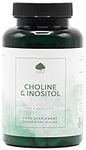 Choline (Bitartrate) & Inositol Capsules | 250mg Choline & 250mg Inositol per Capsule | 120 Vegan Capsules | G&G Vitamins