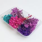 L'BREVOGA Dried Flowers for Craft, 5 pcs Preserved Baby's Breath Mini Bouquets in Pink/Blue/Purple/Light Purple, 100% Natural Flowers for DIY Craft Resin Candle Making Gift Decor (Gypsophila Mix)