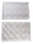 Advangene 12 Well Treated Sterile Flat Tissue Culture Plate (50/Case)