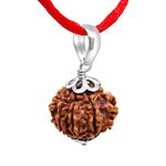 Arihant Gems & Jewels Nepali Rudraksha With 925 Silver Pendant | Natural & Certified | Unisex Both for Men & Women (7 Mukhi)