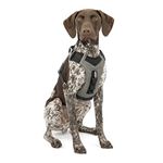 Kurgo 01944 Journey Air (TM) Dog Running Harness, Dog Walking Harness, Dog Hiking Harness, Black/Grey, Medium