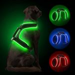 MASBRILL Lighted Dog Harness - No P