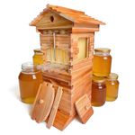 Flow Hive Style Beekeeping Starter Kit, Wooden Beehive with 4 Automatic Honey Frames & 6 Brood Frames, Clear Observation Window & Easy-Release Honey Spout, Perfect for Backyard Honey Harvest