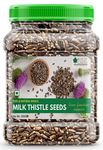 Bliss of Earth 500gm Milk Thistle Seeds Organic Super Food Great for Guts Health & Boost Immunity (Pack of 1)