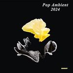 Pop Ambient 2024