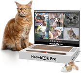 AIWEILUCK Cat Scratcher Laptop with