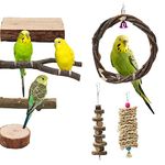 7pcs Bird Perch Stand,Natural Wood Bird Toys Apple Wood Swing Platform Budgie Toys for Cage,Parrot Perch Stand Platform Cage Accessories Exercise Toys for Parrot Budgies Parakeet Lovebirds (Style-1)