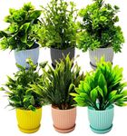 Dekorly Plastic 6 Packs Fake Plants Small, Mini Artificial Plants Indoor For Home Farmhouse Bathroom Shelf Décor (Multi, Height : 17Cm)