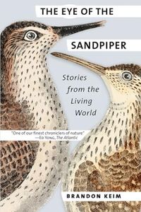 Eye of the Sandpiper: Stories from the Living World