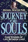 Journey of Souls: Case Studies of L