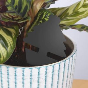 Blooven 30-Pack Black Fruit Fly Traps – Double-Sided Sticky Gnat Catchers for Indoor Plant Insect Control
