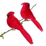 Home Cardinal Reds