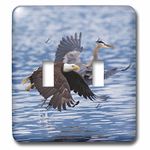 3dRose LSP_278049_2 Bald Eagle and Blue Heron Toggle Switch, Mixed