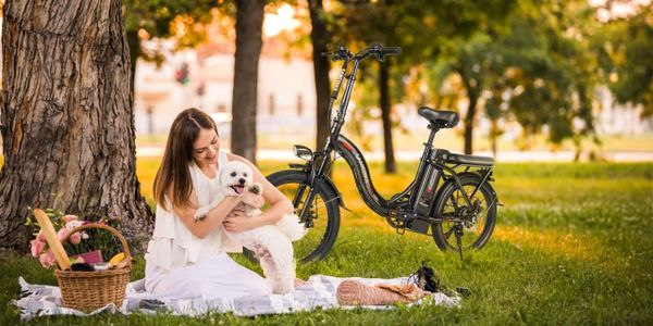 SAMEBIKE Foldable Electric Bike for Adults