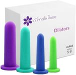 Intimate Rose Large 4-Pack Silicone