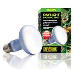 Exo Terra Daylight Basking Spot Bulb, 100 W,Violet