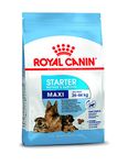 Royal Canin Maxi Starter Pellet Dog Food, Meat Flavor, 4 Kg